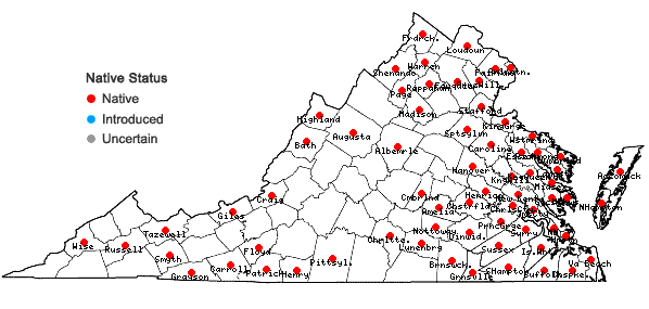 Locations ofRhododendron viscosum (L.) Torr. var. viscosum in Virginia