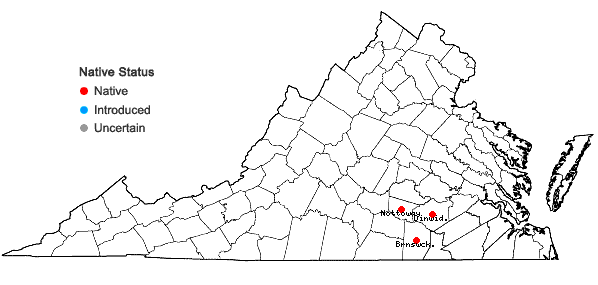 Locations ofRhus michauxii Sargent in Virginia