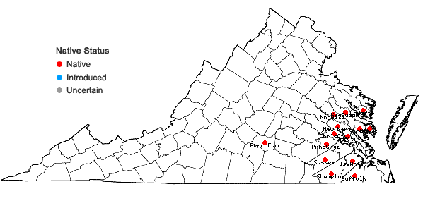 Locations ofRhynchosia difformis (Ell.) DC. in Virginia
