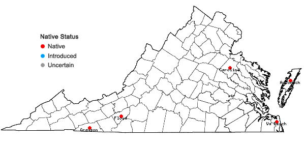 Locations ofRhynchospora alba (L.) Vahl in Virginia