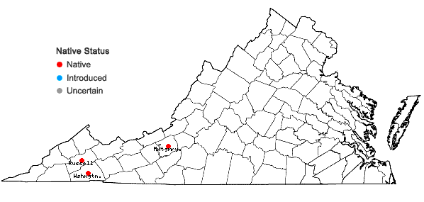 Locations ofRhynchospora capillacea Torrey in Virginia