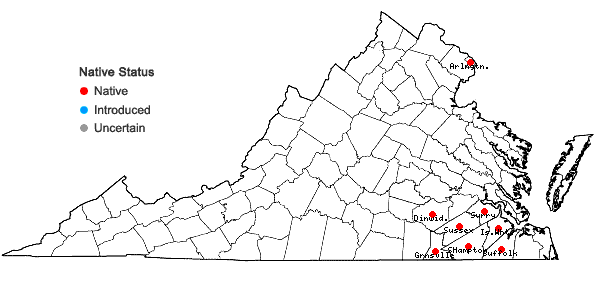 Locations ofRhynchospora cephalantha A. Gray var. cephalantha in Virginia