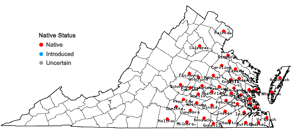 Locations ofRhynchospora corniculata (Lam.) Gray in Virginia