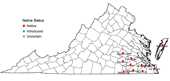 Locations ofRhynchospora debilis Gale in Virginia
