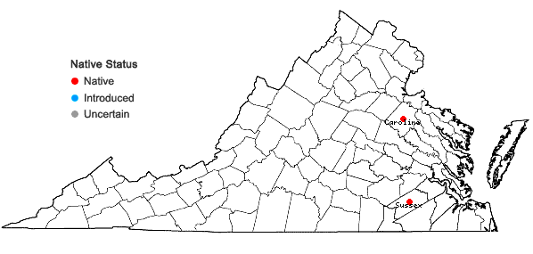 Locations ofRhynchospora filifolia Gray in Virginia