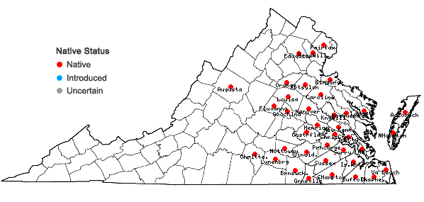 Locations ofRhynchospora gracilenta Gray in Virginia