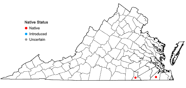 Locations ofRhynchospora pallida M.A. Curtis in Virginia