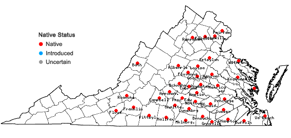 Locations ofRhynchospora recognita (Gale) Kral in Virginia