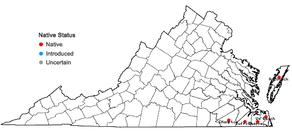 Locations ofRhynchospora scirpoides (Torrey) Grisebach in Virginia