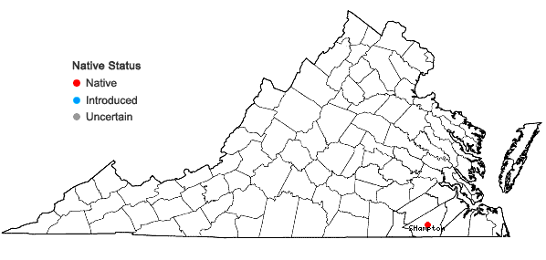 Locations ofRhynchospora stenophylla Chapman in Virginia