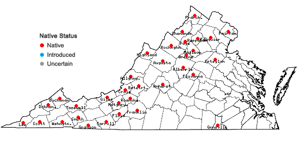 Locations ofRhynchostegium aquaticum A. Jaeger in Virginia
