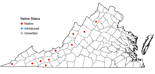 Locations ofRhytidiadelphus triquetrus (Hedw.) Warnst. in Virginia