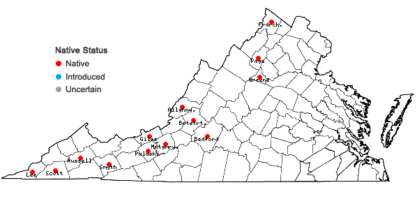 Locations ofRhytidium rugosum (Hedw.) Kindb. in Virginia