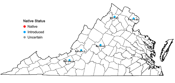 Locations ofRibes missouriense Nutt. in Virginia