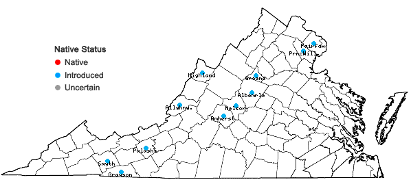 Locations ofRibes rubrum L. in Virginia