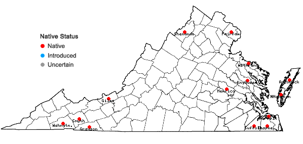 Locations ofRiccardia latifrons Lindberg ssp. latifrons in Virginia