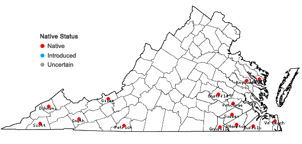 Locations ofRiccardia palmata (Hedw.) Carruth. in Virginia