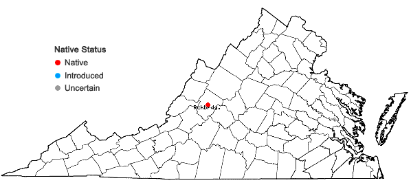 Locations ofRiccia dictyospora M. Howe in Virginia