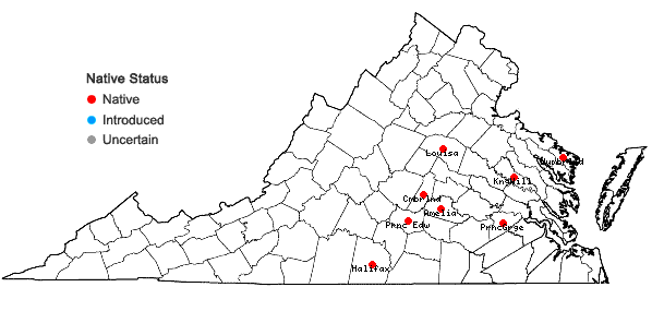 Locations ofRiccia membranacea Gottsche, Lindenb. & Nees in Virginia