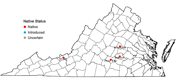 Locations ofRiccia sorocarpa Bischoff in Virginia