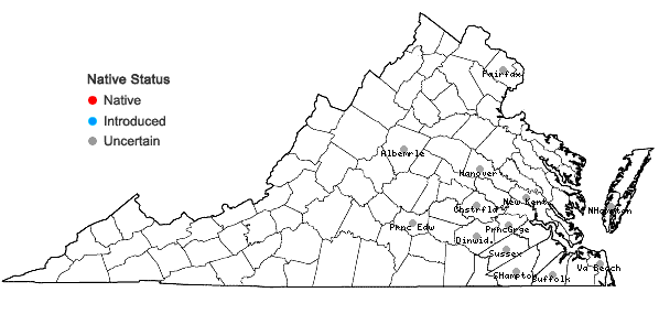 Locations ofRichardia scabra L. in Virginia
