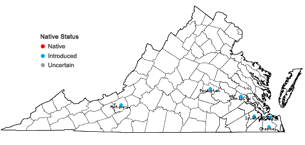Locations ofRicinus communis L. in Virginia