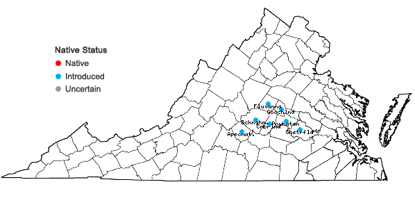 Locations ofRorippa indica (L.) Hiern. in Virginia