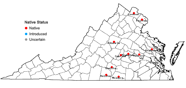 Locations ofRorippa sessiliflora (Nutt.) A.S. Hitchc. in Virginia