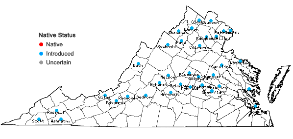Locations ofRorippa sylvestris (Linnaeus) Besser in Virginia
