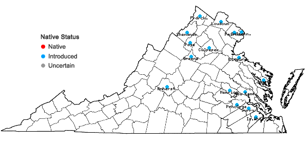 Locations ofRosa canina L. in Virginia