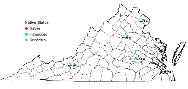Locations ofRosa gallica L. in Virginia