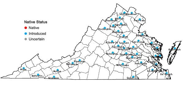 Locations ofRosa luciae Franchet & Rochebrune ex Crepin in Virginia