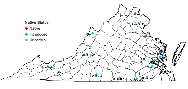 Locations ofRosa rubiginosa L. var. nemoralis (Leman) Thory in Virginia