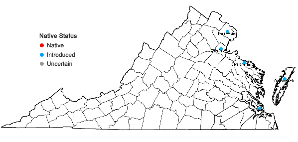 Locations ofRosa rugosa Thunb. in Virginia