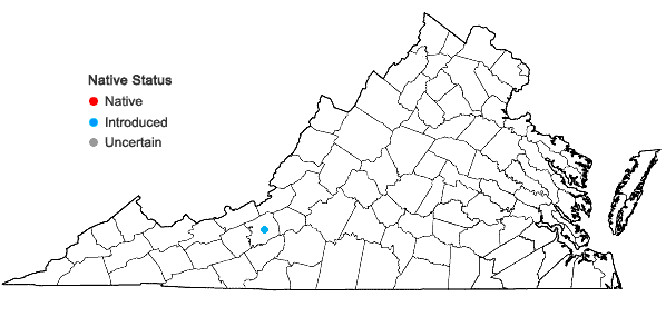 Locations ofRosa spinosissima L. in Virginia