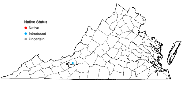 Locations ofRosa spinosissima L. in Virginia