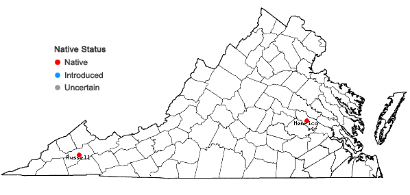 Locations ofRosulabryum laevifilum (Syed) Ochyra in Virginia