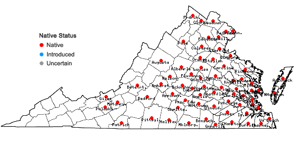 Locations ofRotala ramosior (L.) Koehne in Virginia