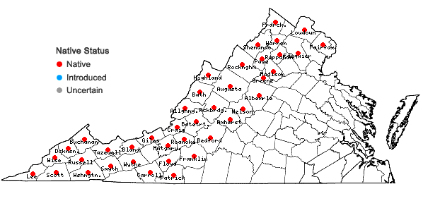 Locations ofRubacer odoratum (L.) Rydb. in Virginia