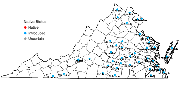 Locations ofRubus bifrons Vest in Virginia