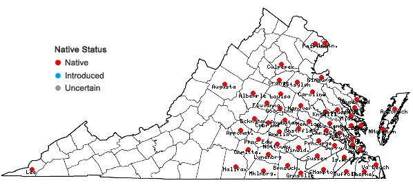 Locations ofRubus cuneifolius Pursh in Virginia