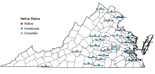 Locations ofRubus discolor Weihe & Nees in Virginia