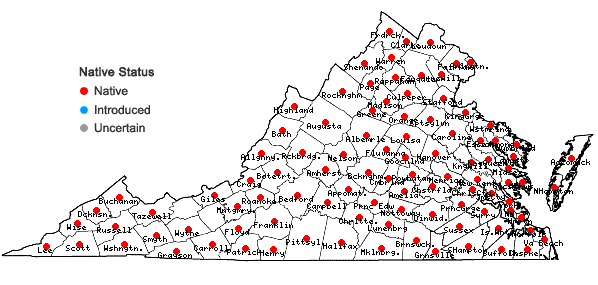 Locations ofRubus flagellaris Willd. in Virginia