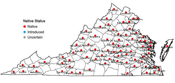 Locations ofRubus hispidus L. in Virginia