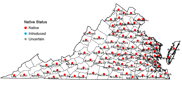 Locations ofRubus pensilvanicus Poir. in Virginia