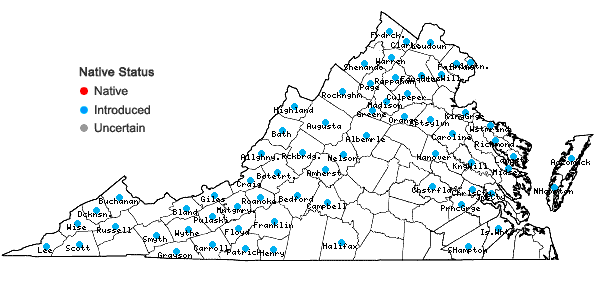 Locations ofRubus phoenicolasius Maxim. in Virginia