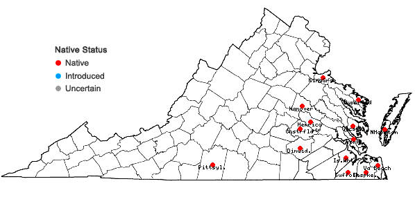 Locations ofRubus trivialis Michx. in Virginia