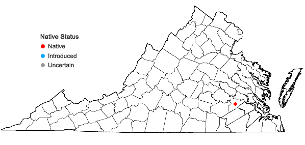 Locations ofRudbeckia heliopsidis Torr. & Gray in Virginia