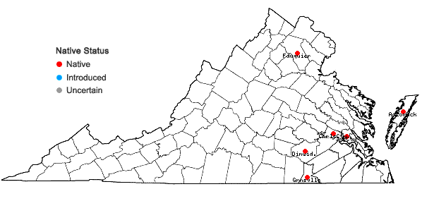 Locations ofRudbeckia laciniata L. var. bipinnata Perdue in Virginia