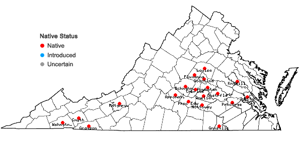 Locations ofRudbeckia laciniata L. var. digitata (Mill.) Fiori in Virginia